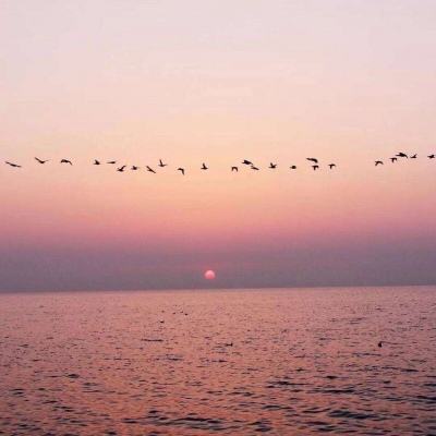 嗨爆！吴曦摇篮舞有多贵？全场球迷为吉翔庆生(gif)